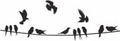 birdsinwire