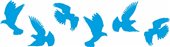 birds